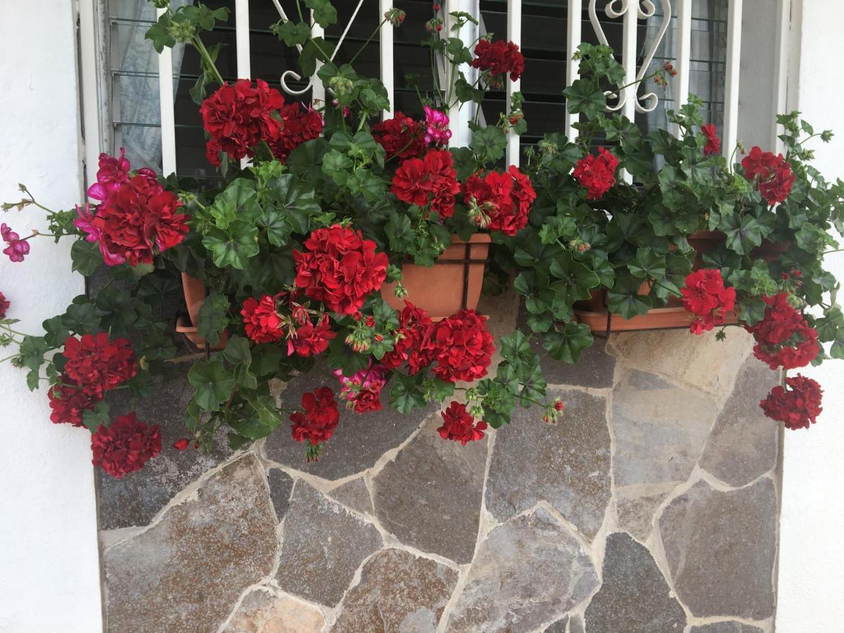 Detached Villa, Private Pool Only 10 Minutes Los Cristianos Valle de San Lorenzo Esterno foto